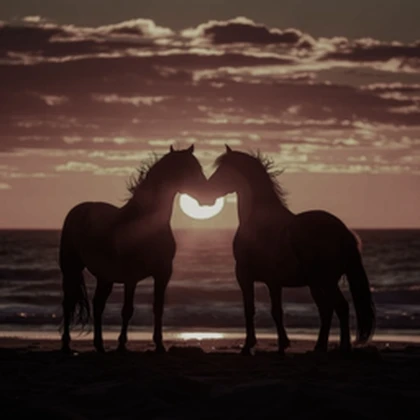 Horse Stables Roblox group icon