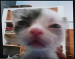 ssssssssssssssuuuuuuuuuuuussssssssssssssssssssssss