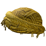 Halo Wrapped Turban [LIMITED]