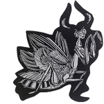 USS Space Mantis