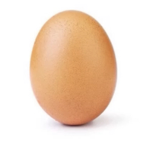 Snsnsndn291