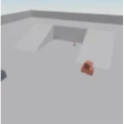 ARENA