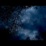 The Silence Below