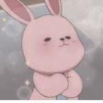 soft.rabbits