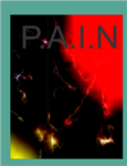 P.A.I.N(painfully advanced inteligince navy)