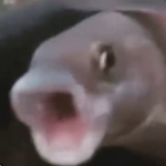 poggers juice