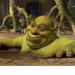 Shrek is god duh