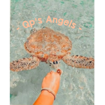 - Qp’s Angels -