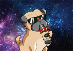 The Galaxy Pugs