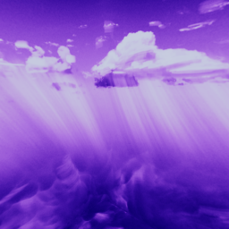 Easy Purple Obby!