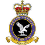 Joint Special Forces Aviation Force