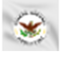 [EM] Gendarmeria de la Guardia Nacional