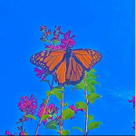 Aesthetic brightness