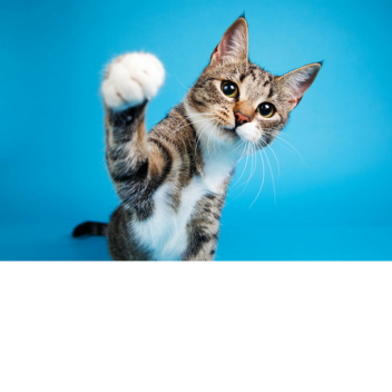 [WATER] Find the MSM Monsters [22]