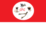 teh kfc squad