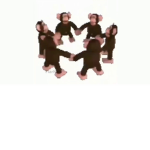 monkey circle