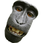 fainmatrixx gang