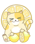 A cat with lemon group