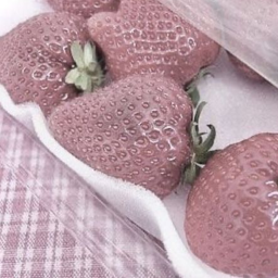 ʚ🍓ɞ