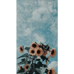 Strxberry_blxxming