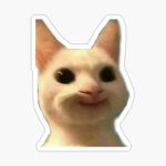 cat memes :)