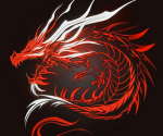 TEAM Dragons!!!!