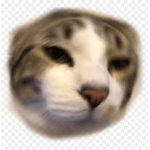 kixuplayz's group Group Thumbnail