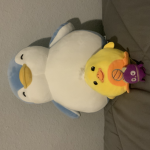 Juanita gang