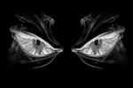 Real Nightmare's