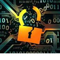 Virus Attack Infects The Circuit