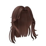 Aesthetic Long Brown Hair