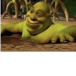 Nonooooyess