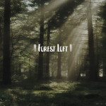 Forest Loft (Bird Sounds)