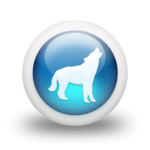 TEAM WOLFIN ROBLOX GROUP
