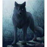 WOLF RUNNERS!