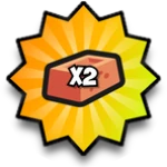 x2 Bricks