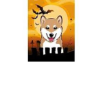 Shiba_Union