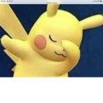 Pikachu.inc