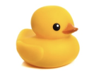 United Kingdom Of Ducks