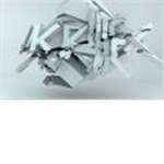 "Skrillex Fans