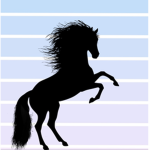 Everest.Equitation.Academy