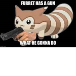-.- Furret -.-