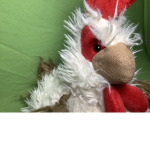 Chicken ground