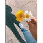 -{VIBES}-