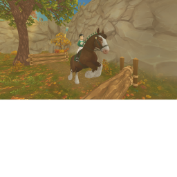 Star Stable Gallery