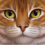 MrCats