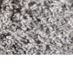 Gray_cats