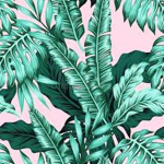 The Tropical Oasis Squad