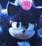 Sonic friends forever