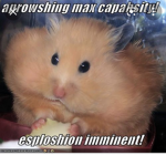 ###############<3